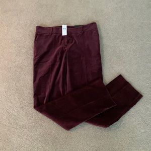 Ann Taylor velvet pants